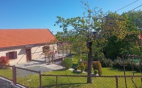 Holiday In The National Park Lovcen